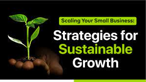 Scaling Your Business: Navigating Strategies for Sustainable Growth