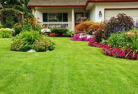 Seasonal Lawn Care Tips for a Lush Green Yard